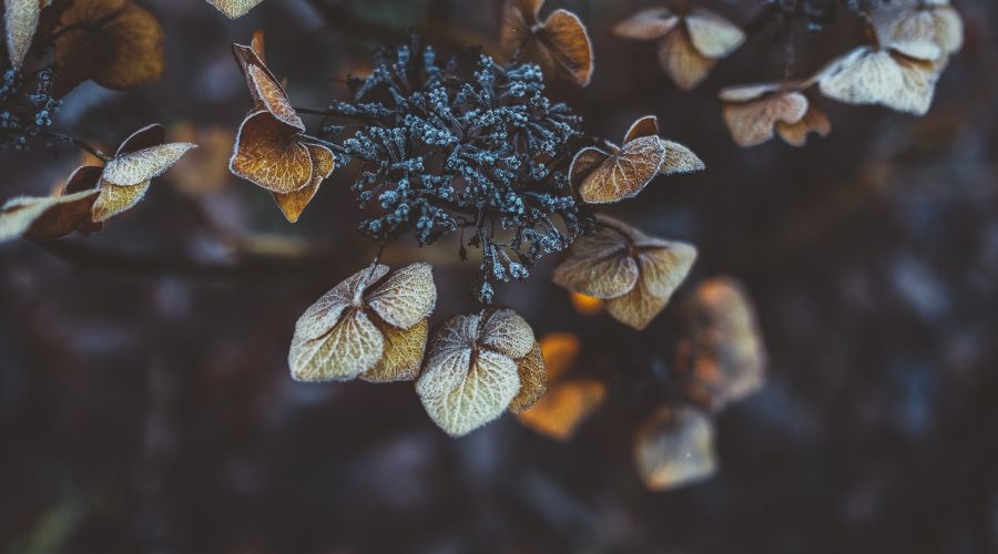 Asuransi Syariah Sebagai Perlindungan Keluarga Muslim